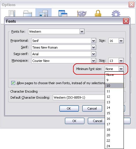 Minimize font size in Firefox browser